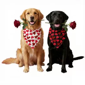 宠物围巾;狗狗服装;狗狗牵引