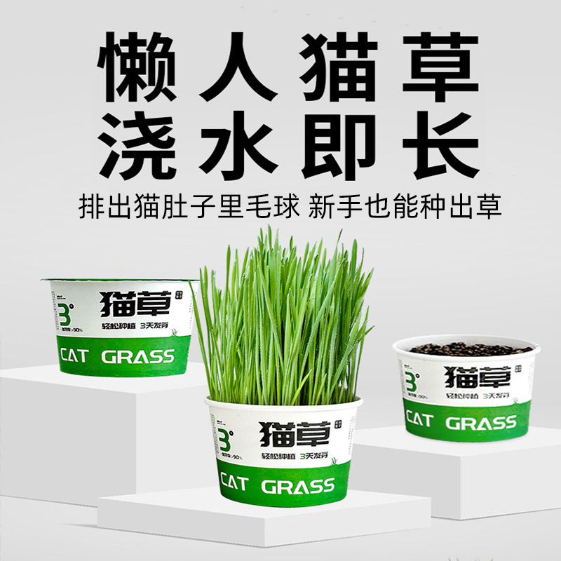 Pet Supplies, Hair Removal Snacks, Canned Cat Grass, Hydroponic Kitten Cat Grass, Cat Food