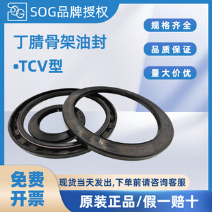 ̨��SOG�ͷ�TCV�������Љ������z�ȹǼ��p�����Џ������D�͉��ܷ�