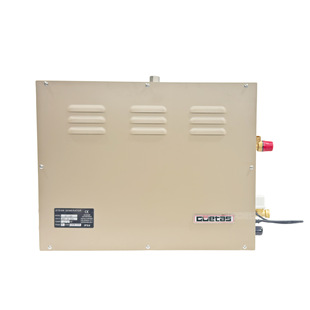 High Temperature Sauna Steam Machine Household Outdoor Steam Generator Sauna Steam Room Equipment Fumigation Machine Sweat Steamer