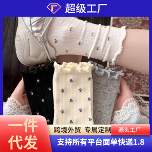 2026�����m��Ů���s�r����ϵ�黨�W��͸���и�Ͳ�m�����ݿڶѶ��m