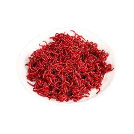 特大号小号公红虫活饵新鲜钓鱼拉饵底窝散炮包邮工厂直销跨境