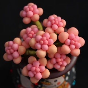 �ҵ�Ⱥ�����^����ֲ��ɽ��õ���Ϙ��Gֲ���ԾƱ�Ү�_����ҊԔ��