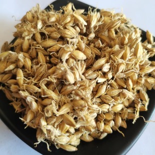 ����ѿ   ��ѿ�ʸ�    ȫ��ѿ   ���l   �a��ֱ�N       ����ă�