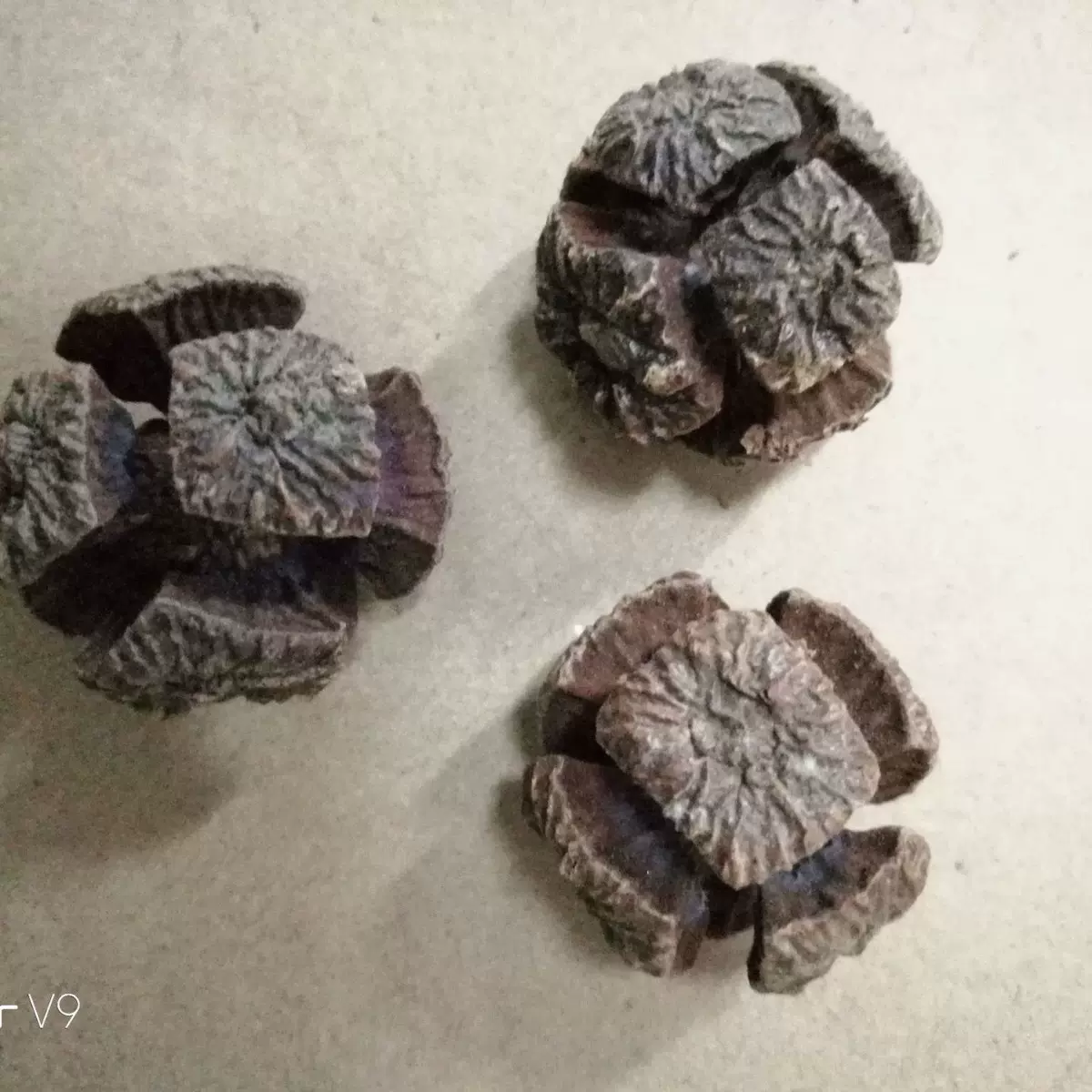 1kg足球果干松果圣诞花环藤圈装饰品幼儿园手工diy道具摆拍