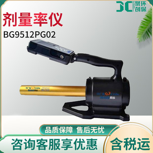 BG9512PG02 type radiation monitor X gamma dose rate meter