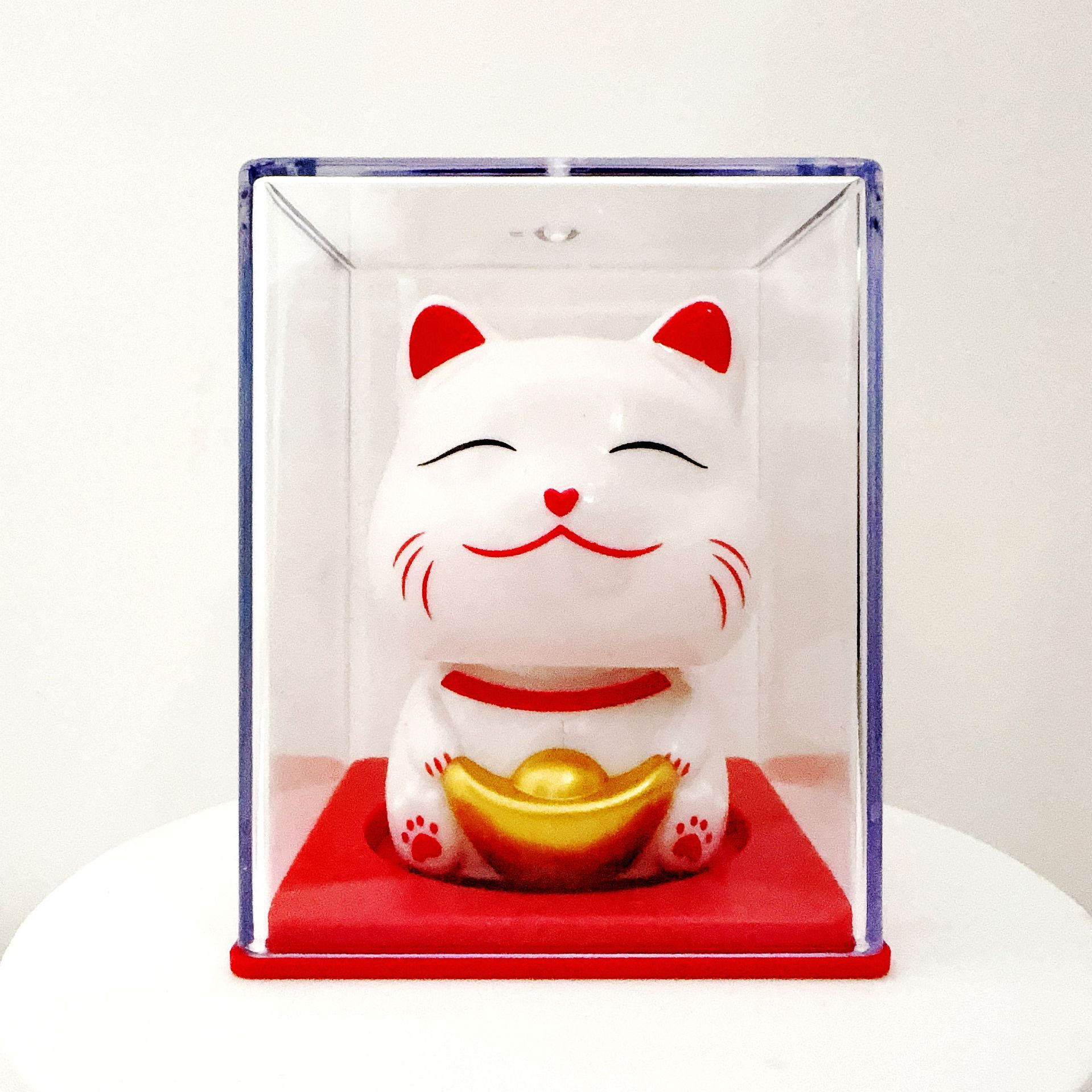 19-1 위안바오 행운의 고양이