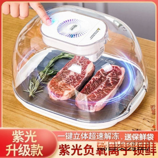 Defrosting Artifact Household German Constant Temperature Multi-Functional Fresh-Keeping Fast Kitchen Defrosting Machine Uv Sterilization Drain Basket