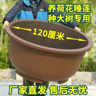 �ش�̖���ϻ���Ӻ��ڏ����仨�����ͥԺ�@�ַN���B˯ɏ�ɾGֲ