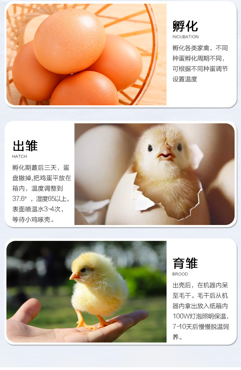 佳裕新品家用小型雞蛋孵化器迷你全自動智能孵蛋器16枚小雞孵化機jdjd 露天拍賣 佳裕新品家用小型雞蛋孵化器迷你全自動智能孵蛋器16枚小雞孵化機jdjd 露天拍賣