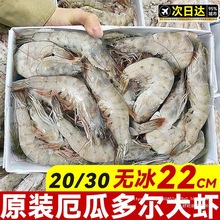 �����r�r�r���ك����r����϶ࠖ���r���r�r��r2030�}��������