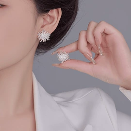 耳环;耳钉;胸针