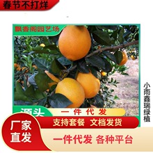 ���Ә���ɳ�ǽۘ��ĕ�ɰ�ǽۘ������ӟo�џo�˼޽ӹ�����̽���