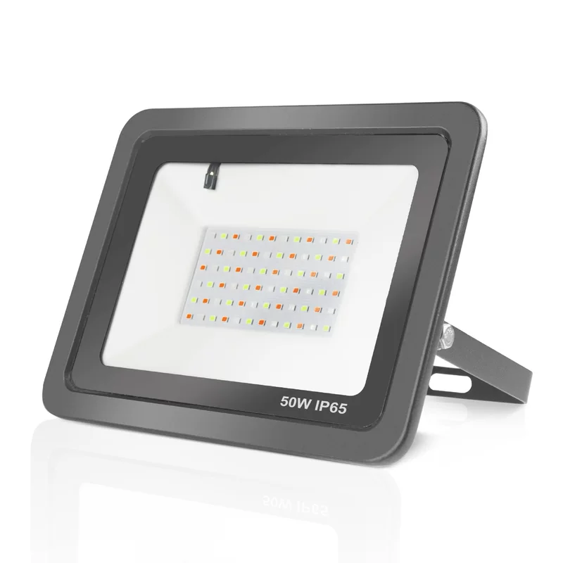 [LED RGB 50W 7 100W IP65 2.4G]