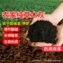 防虫种植有机改良营养土