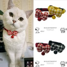 ���؈������Ȧ�ɐۿ�ͨ�����Y�p��͸����K�I�YС��Ȯ���߁G