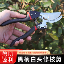 �ڱ����^��֦���޼���֦�@ˇ�����޼���֦�����񺞈@�ֻ��ܻ�ˇ��