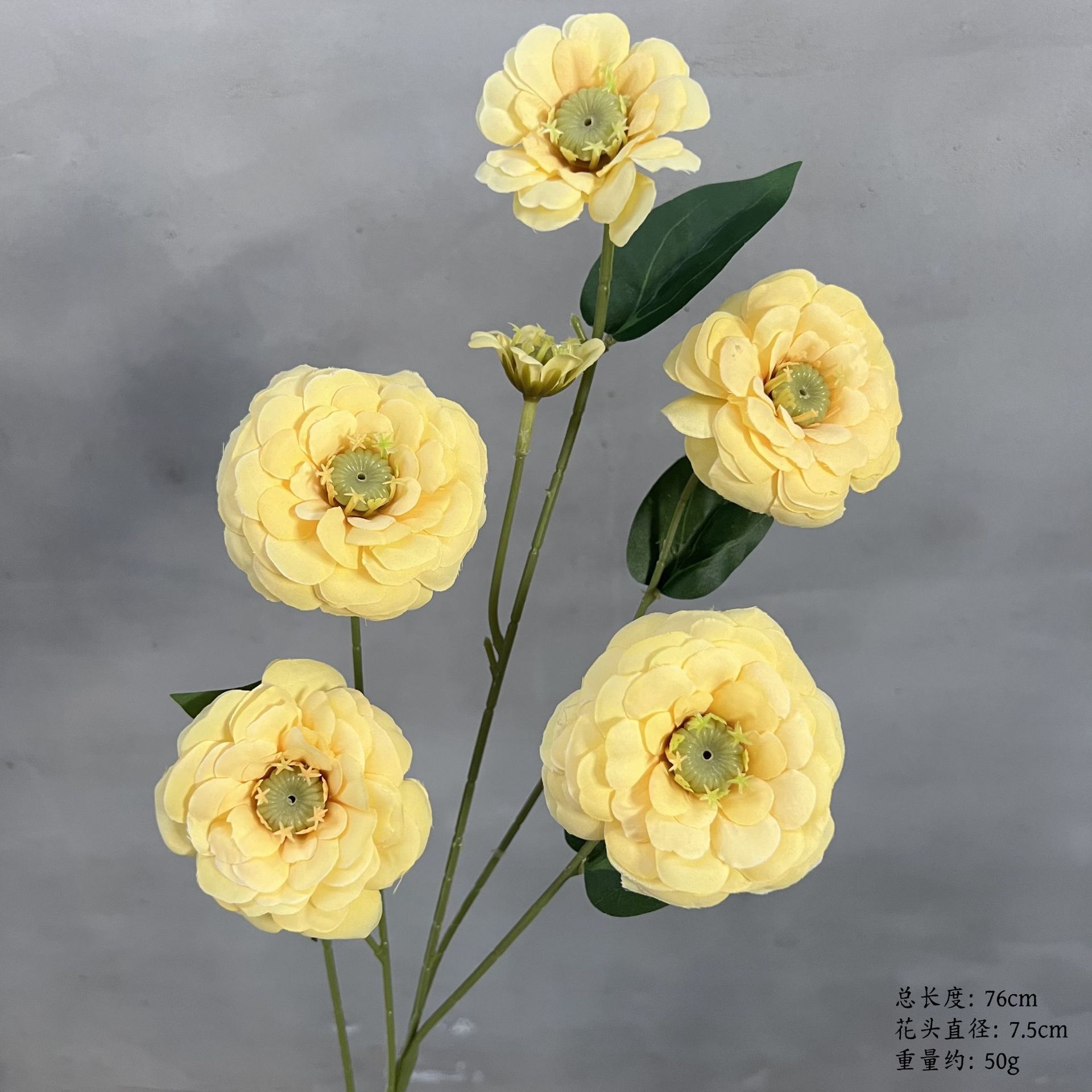 품목번호 124-금송화