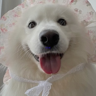 �����·����ﶬ�b����ë���������_ĦҮ��ʿ��߅����Ȯ���ʹ���Ȯ