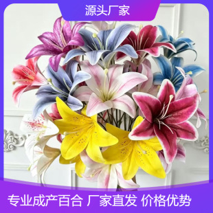 3�^�zƬ�ٺϷ��滨�ָмٻ���c�������û������ŵ��Ż�ܛ�b�廨