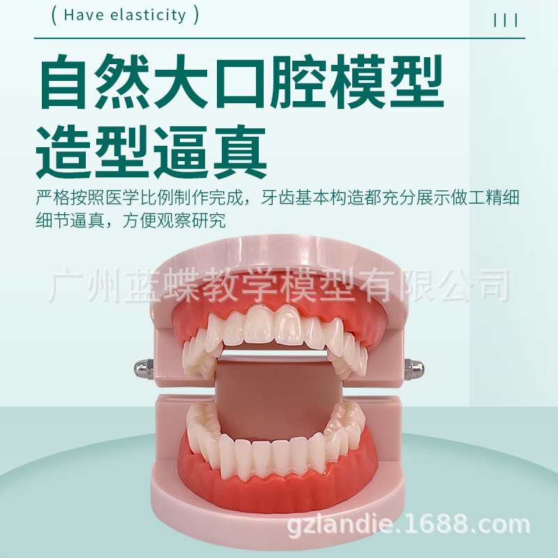 ��Ȼ������������ģ�� �߼���ǻ����ģ��(������)����ͷ