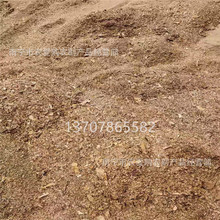 ĩ۴ lЙCԭ ɻuSţSSl