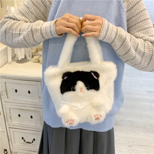 �¿���؈����ë�q�������ϵ�W�t�ɐۿ�ͨ��ż�S��ֱ�N���l�μ��