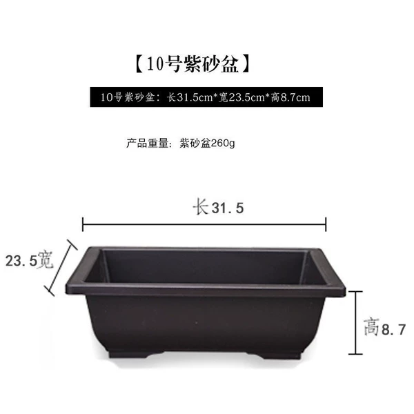 [10号盆]