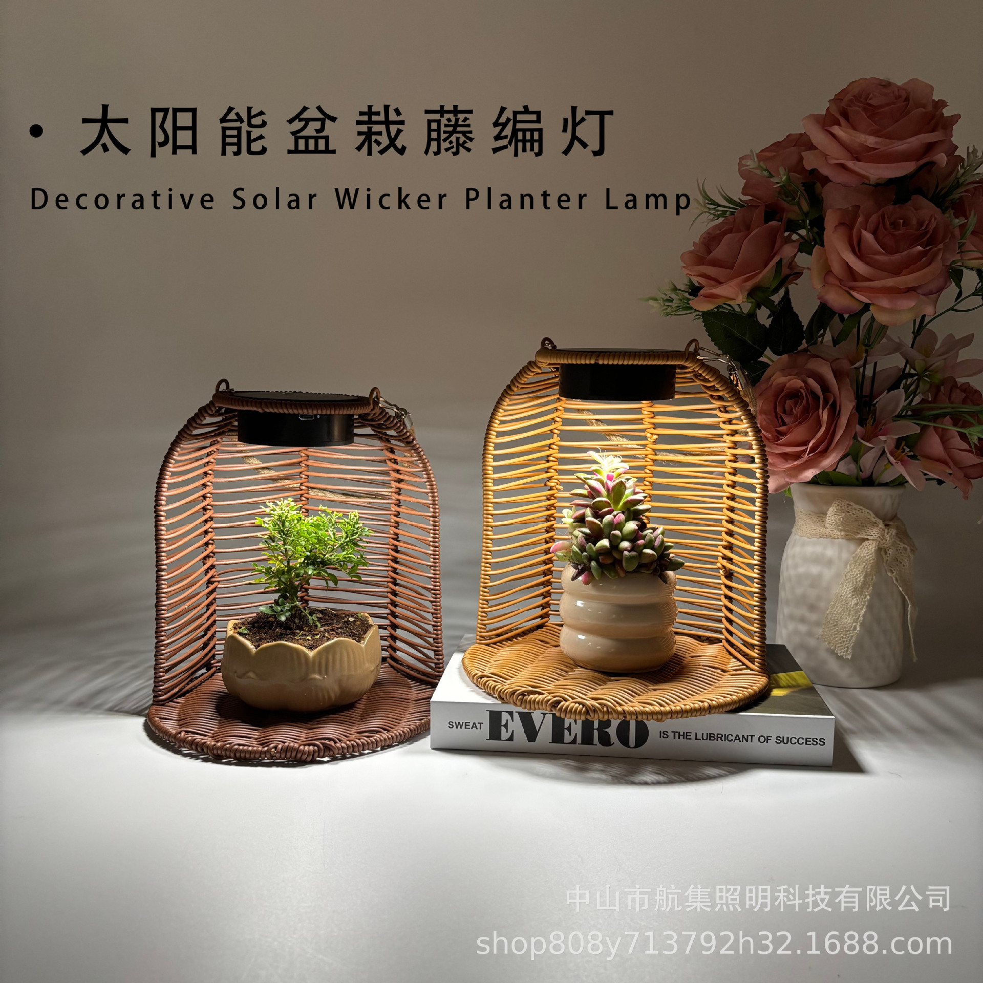 Solar Garden Light Outdoor Waterproof Lamp Potted Rattan Landscape Courtyard Light Villa B&B Decoration Hanging Light