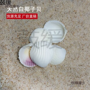 ��Ȼ��ɫ��ؐ���ݪ{��Ҭ��ؐ �T�f�~��ˮ�����̨�b�DIYһ��̫��