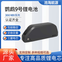 �S�ҹ���48V�W�^9̖늄�܇�늳� 36V늄�����܇��о�늳ؽM