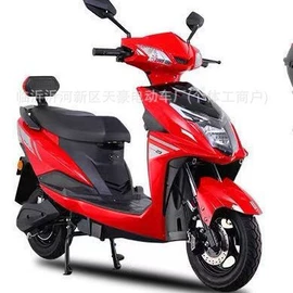 电动自行车;电动三轮车;其他电动车