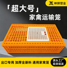 批发超大号家禽运输笼养殖厂专用通风转运箱鸡鸭鹅通用长途运输笼