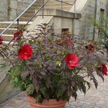 ���~ܽ�ؿ�����ͥԺ���@�ֲ̨��������ͺ��͟�ľ����t��ܽ���l