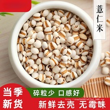 【真空装】贵州薏仁米新货小意米仁新米大薏米仁旗舰店