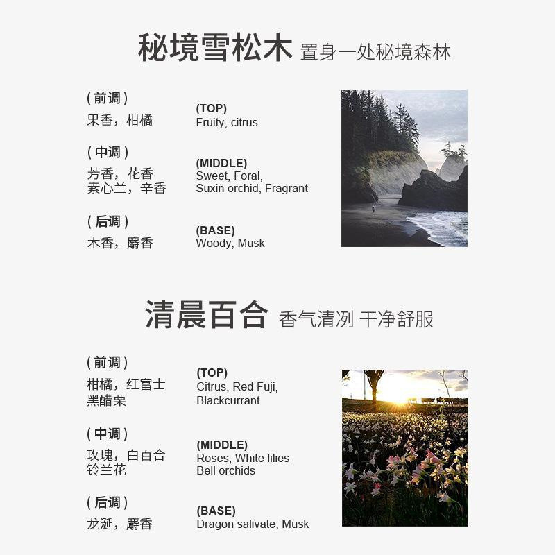 车内高档香氛咖啡杯出风口香薰补充装填充片出风口香薰持久淡香|undefined