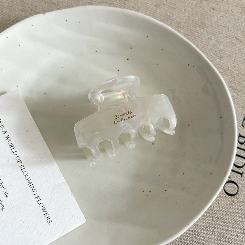 Gran clip de agarre de ácido acético retrógrado francés, clip de pescado, clip de cabello sofisticado, clip de cabello de alta calidad, pinza de cabello para el cabello.