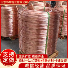厂家直销接地紫铜丝 防雷工程专用紫铜线 高导电 T2 紫铜盘丝