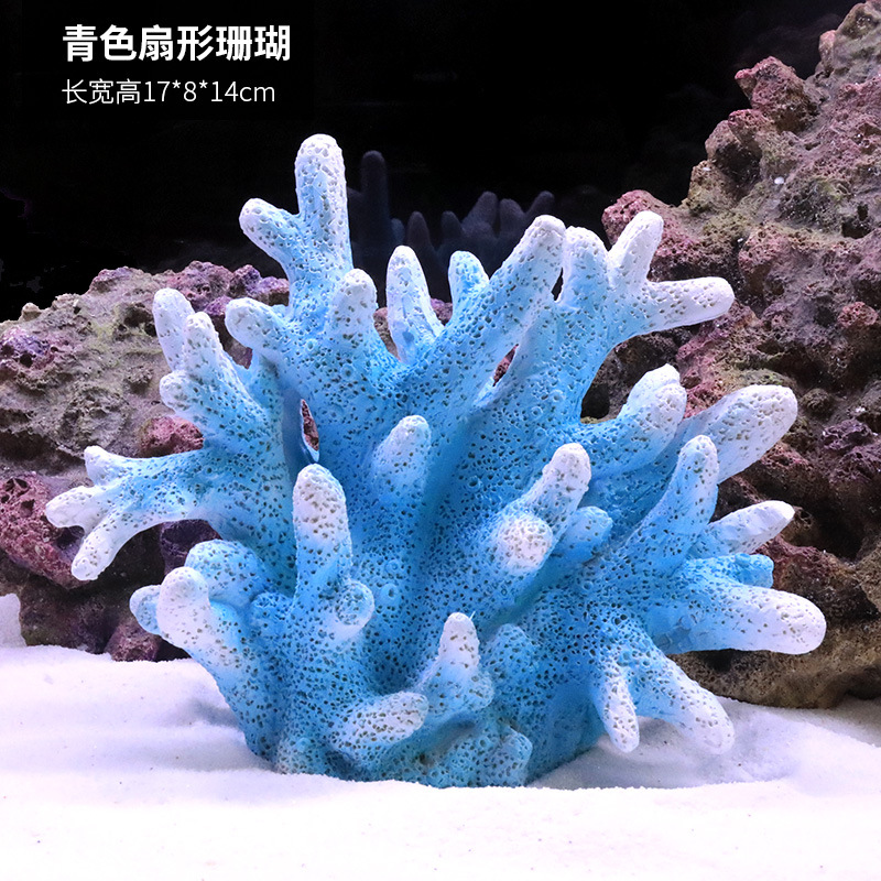 珊瑚184