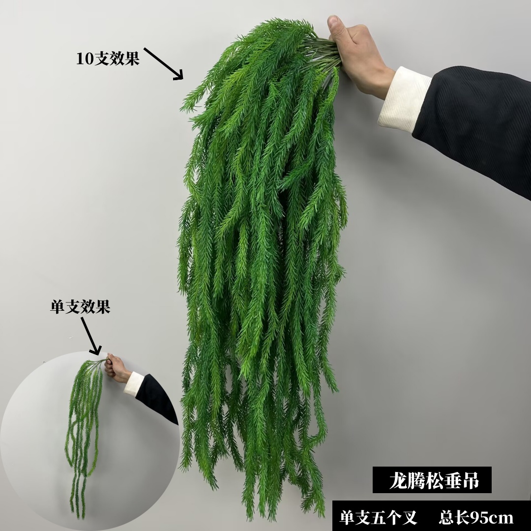 드래곤 파인 매달려