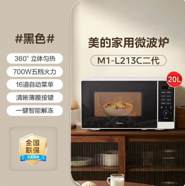 213C/컴퓨터 모델