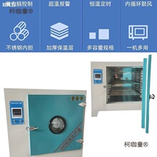 老化工业恒温实验室电热大灯小型烘箱鼓风干燥箱烘箱烘干机麦太保