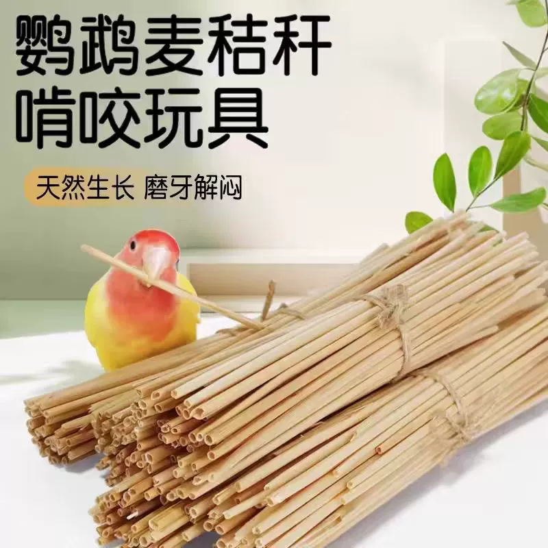 鹦鹉啃咬玩具天然麦秆小麦杆子消耗玩具饲养笼子造景布景小宠用品