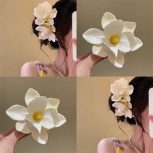 �Շ������m���l�AС�����|��߅����A�W�tͬ��߼��аl��^�