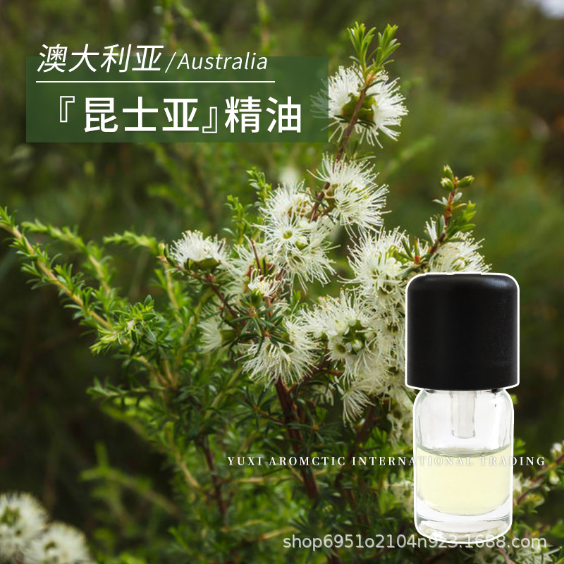 澳大利亚原产澳洲昆士亚精油1ml枝叶蒸馏温暖木质香味单方精油