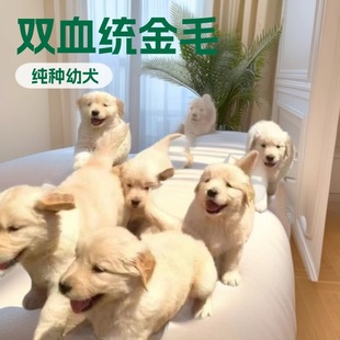 ���N��ë��Ȯ���w������w������äȮ�����o�lȮ��ͥ�B���ﹷ����