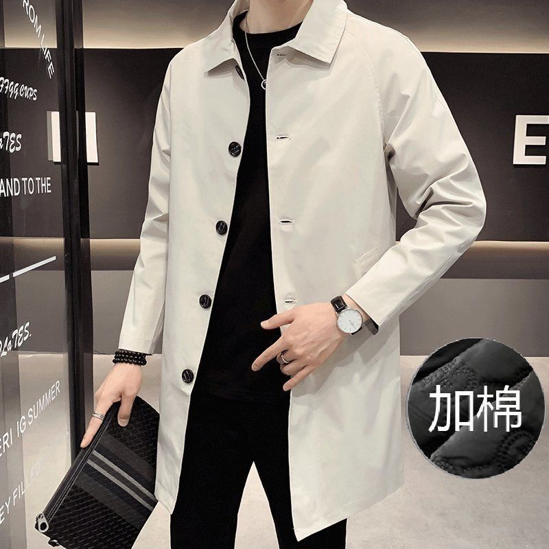 면과 두꺼운 미색