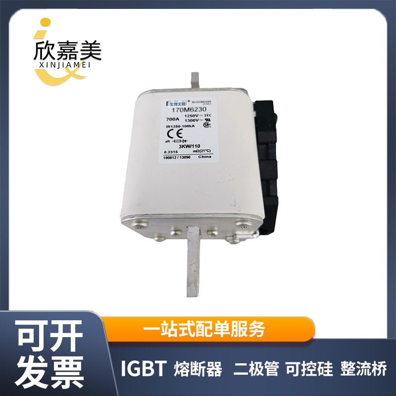 全新原装现货170M6230 170M6252 170M6253智能低压熔断器标准封装