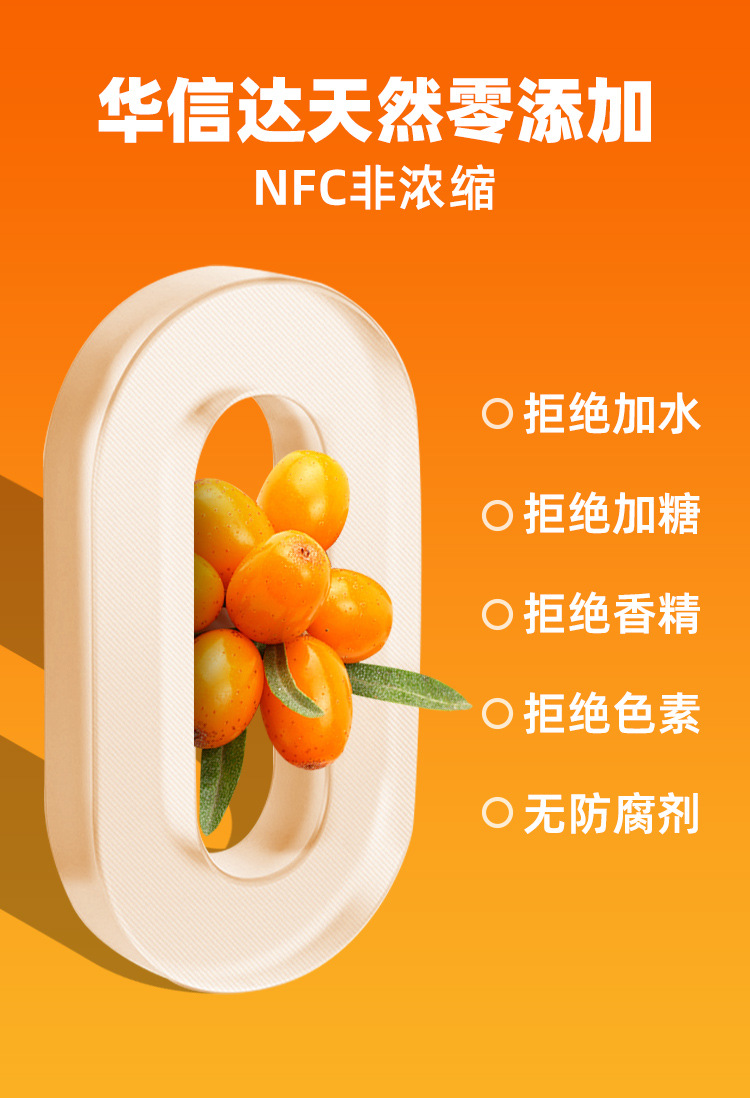 Pure Sea Buckthorn Juice Original Fresh Pressed Sour Wellness Drink 500ml quality and texture