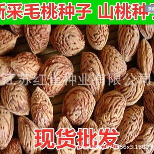 �²�ë�ҷN���Ҙ�ë�Һ˴������Һ��Ҙ�� ��N�Ӱ��]